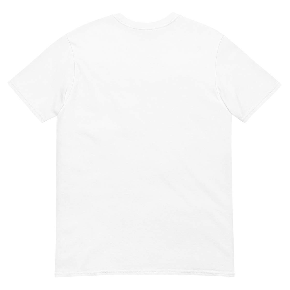 Product mockup (back)